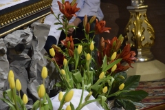 DSC0420-kopia