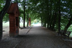 DSC01251